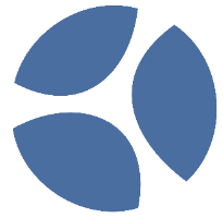 Blue Stone Management logo